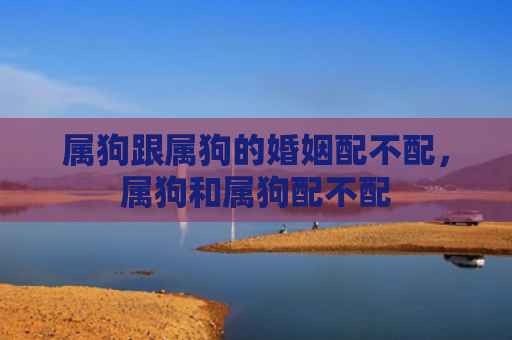 属狗跟属狗的婚姻配不配，属狗和属狗配不配