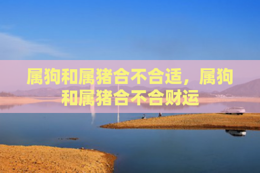 属狗和属猪合不合适，属狗和属猪合不合财运