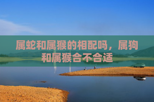 属蛇和属猴的相配吗，属狗和属猴合不合适