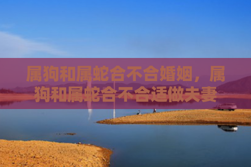属狗和属蛇合不合婚姻，属狗和属蛇合不合适做夫妻