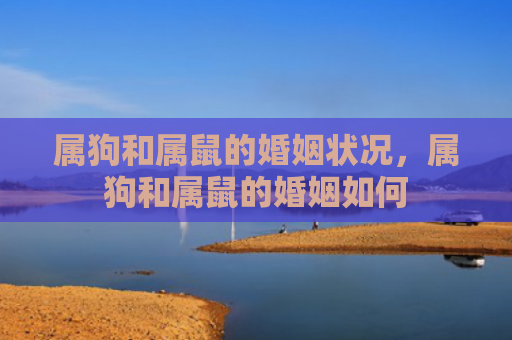 属狗和属鼠的婚姻状况，属狗和属鼠的婚姻如何