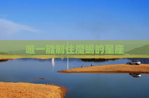 唯一能制住魔蝎的星座