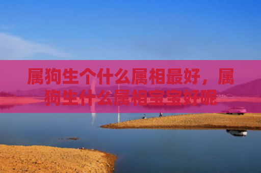 属狗生个什么属相最好，属狗生什么属相宝宝好呢
