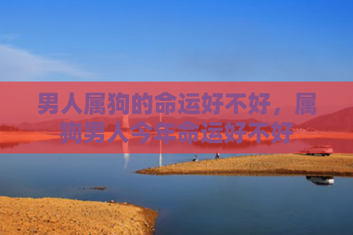 男人属狗的命运好不好，属狗男人今年命运好不好