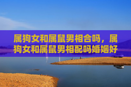 属狗女和属鼠男相合吗，属狗女和属鼠男相配吗婚姻好吗