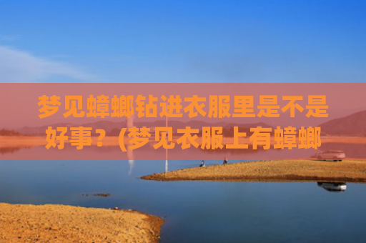 梦见蟑螂钻进衣服里是不是好事？(梦见衣服上有蟑螂是什么意思)