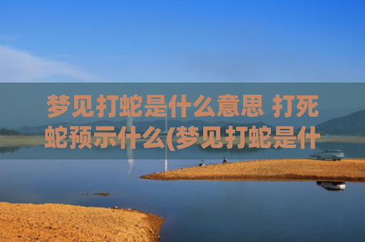 梦见打蛇是什么意思 打死蛇预示什么(梦见打蛇是什么意思)