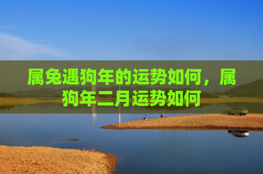 属兔遇狗年的运势如何，属狗年二月运势如何