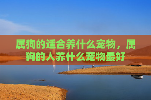 属狗的适合养什么宠物，属狗的人养什么宠物最好