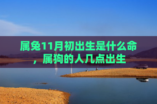属兔11月初出生是什么命，属狗的人几点出生