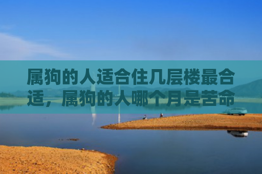 属狗的人适合住几层楼最合适，属狗的人哪个月是苦命