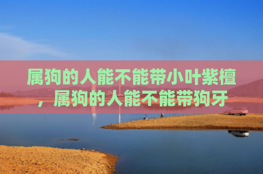 属狗的人能不能带小叶紫檀，属狗的人能不能带狗牙