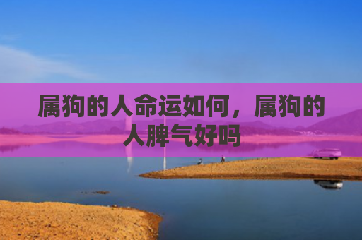 属狗的人命运如何，属狗的人脾气好吗
