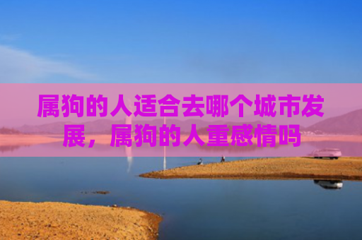 属狗的人适合去哪个城市发展，属狗的人重感情吗