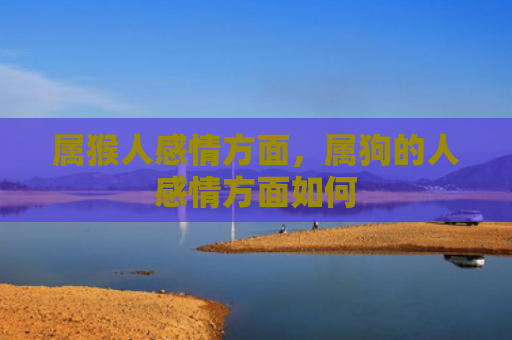属猴人感情方面，属狗的人感情方面如何