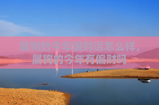 属狗的今年偏财运怎么样，属狗的今年有偏财吗