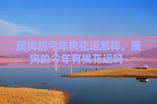 属狗的今年桃花运怎样，属狗的今年有桃花运吗-