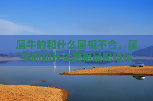 属牛的和什么属相不合，属牛的和什么属相最配婚姻