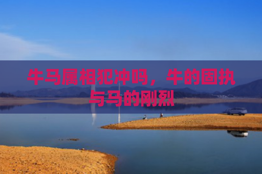 牛马属相犯冲吗，牛的固执与马的刚烈