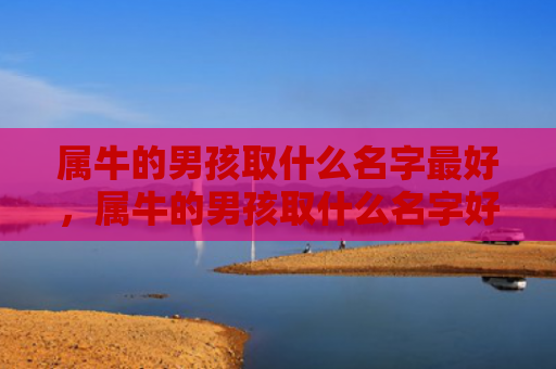 属牛的男孩取什么名字最好，属牛的男孩取什么名字好-