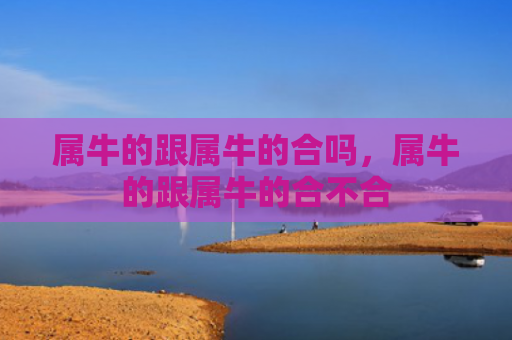 属牛的跟属牛的合吗，属牛的跟属牛的合不合