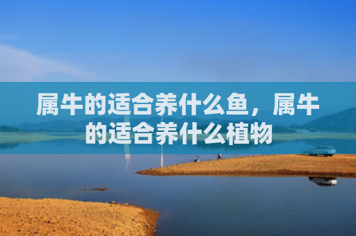 属牛的适合养什么鱼，属牛的适合养什么植物