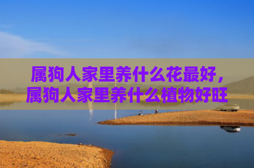 属狗人家里养什么花最好，属狗人家里养什么植物好旺财