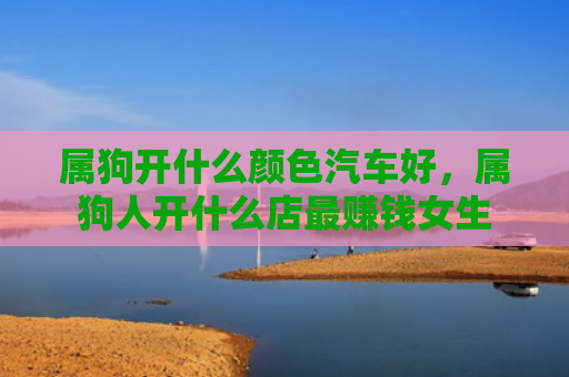 属狗开什么颜色汽车好，属狗人开什么店最赚钱女生