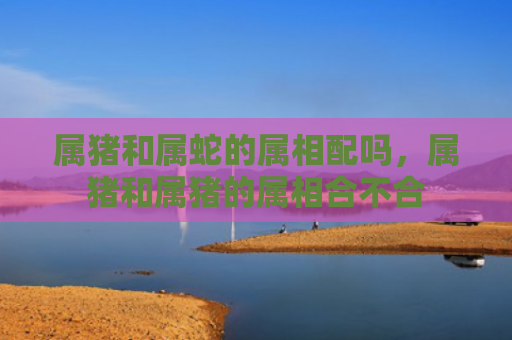 属猪和属蛇的属相配吗，属猪和属猪的属相合不合