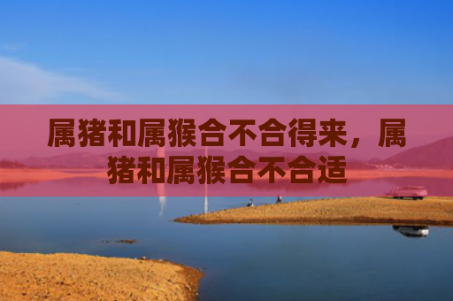 属猪和属猴合不合得来，属猪和属猴合不合适
