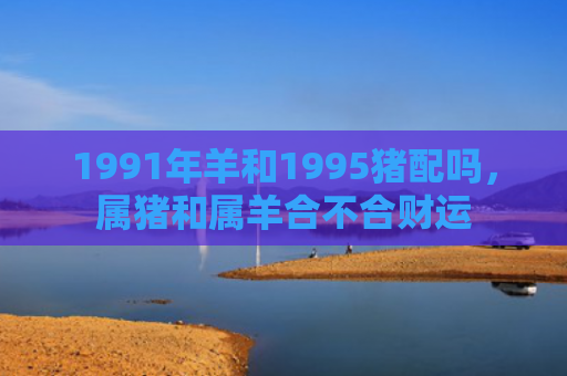 1991年羊和1995猪配吗，属猪和属羊合不合财运