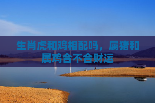 生肖虎和鸡相配吗，属猪和属鸡合不合财运