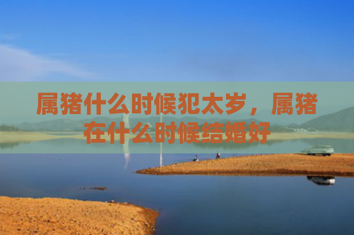 属猪什么时候犯太岁，属猪在什么时候结婚好