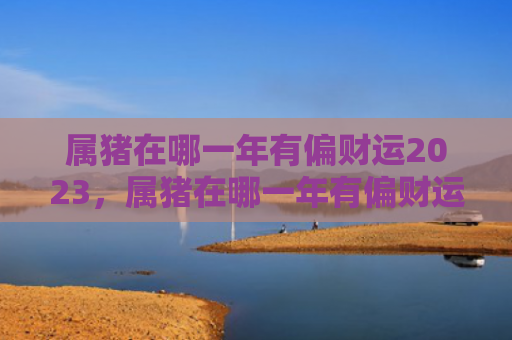 属猪在哪一年有偏财运2023，属猪在哪一年有偏财运，1