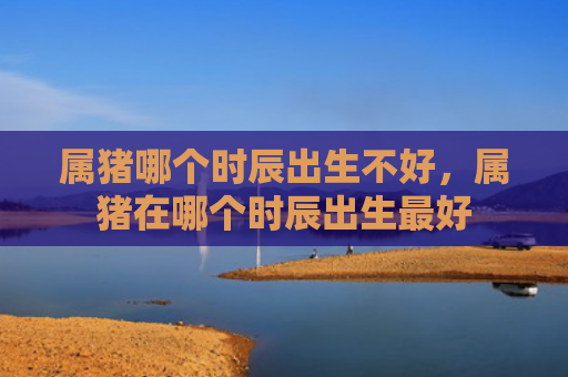属猪哪个时辰出生不好，属猪在哪个时辰出生最好