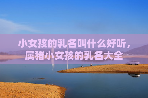 小女孩的乳名叫什么好听，属猪小女孩的乳名大全