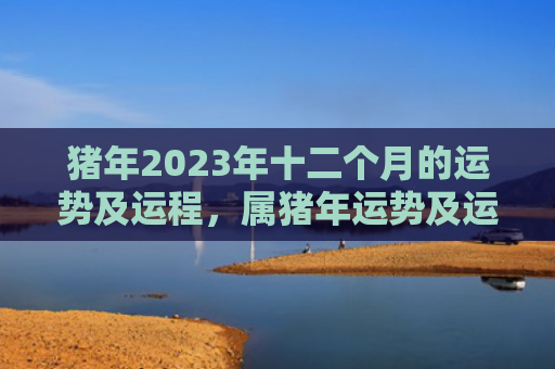 猪年2023年十二个月的运势及运程，属猪年运势及运程每月运程