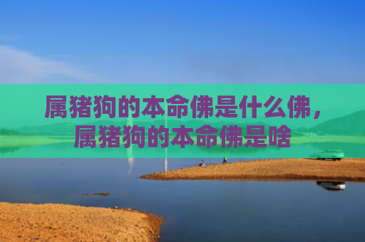 属猪狗的本命佛是什么佛，属猪狗的本命佛是啥