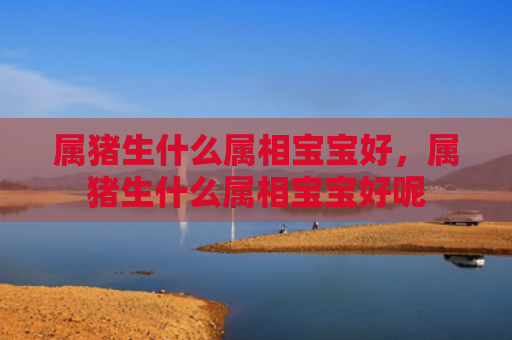 属猪生什么属相宝宝好，属猪生什么属相宝宝好呢