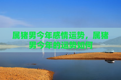 属猪男今年感情运势，属猪男今年的运势如何