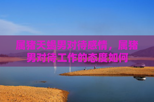 属猪天蝎男对待感情，属猪男对待工作的态度如何