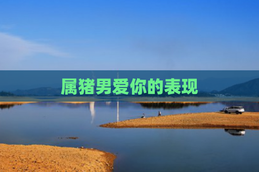 属猪男爱你的表现