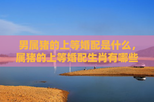 男属猪的上等婚配是什么，属猪的上等婚配生肖有哪些好