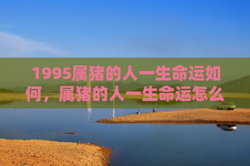 1995属猪的人一生命运如何，属猪的人一生命运怎么样