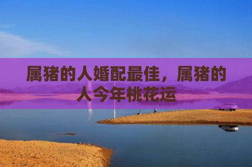 属猪的人婚配最佳，属猪的人今年桃花运