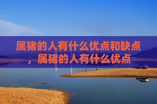 属猪的人有什么优点和缺点，属猪的人有什么优点