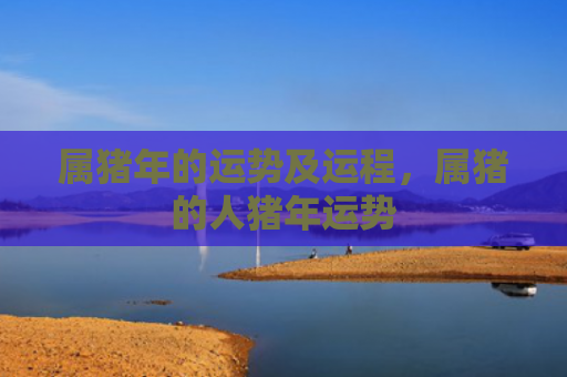 属猪年的运势及运程，属猪的人猪年运势