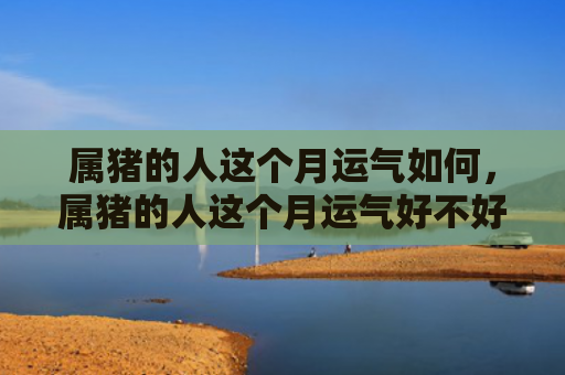 属猪的人这个月运气如何，属猪的人这个月运气好不好