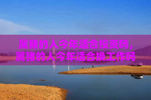 属猪的人今年适合投资吗，属猪的人今年适合换工作吗