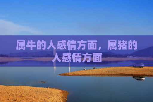 属牛的人感情方面，属猪的人感情方面